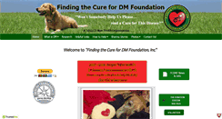 Desktop Screenshot of cure4dm.org
