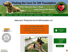 Tablet Screenshot of cure4dm.org